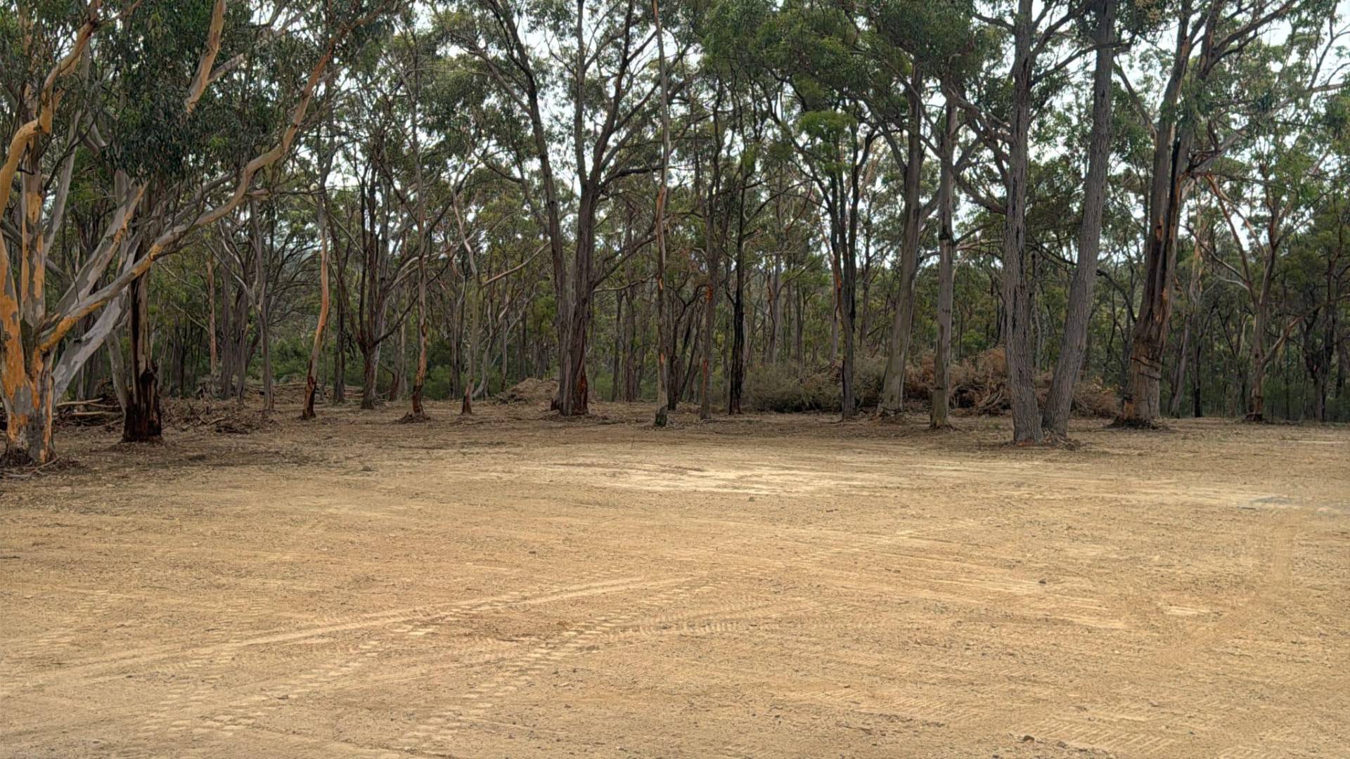 Bushland clearing & pad preparation