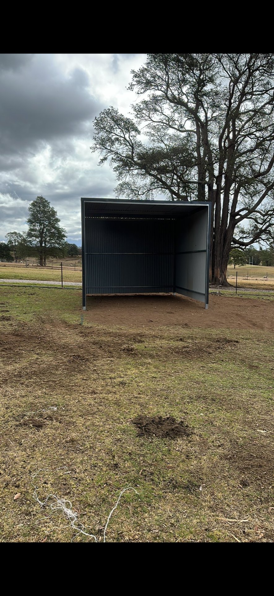 Horse shelter under feature gum tree