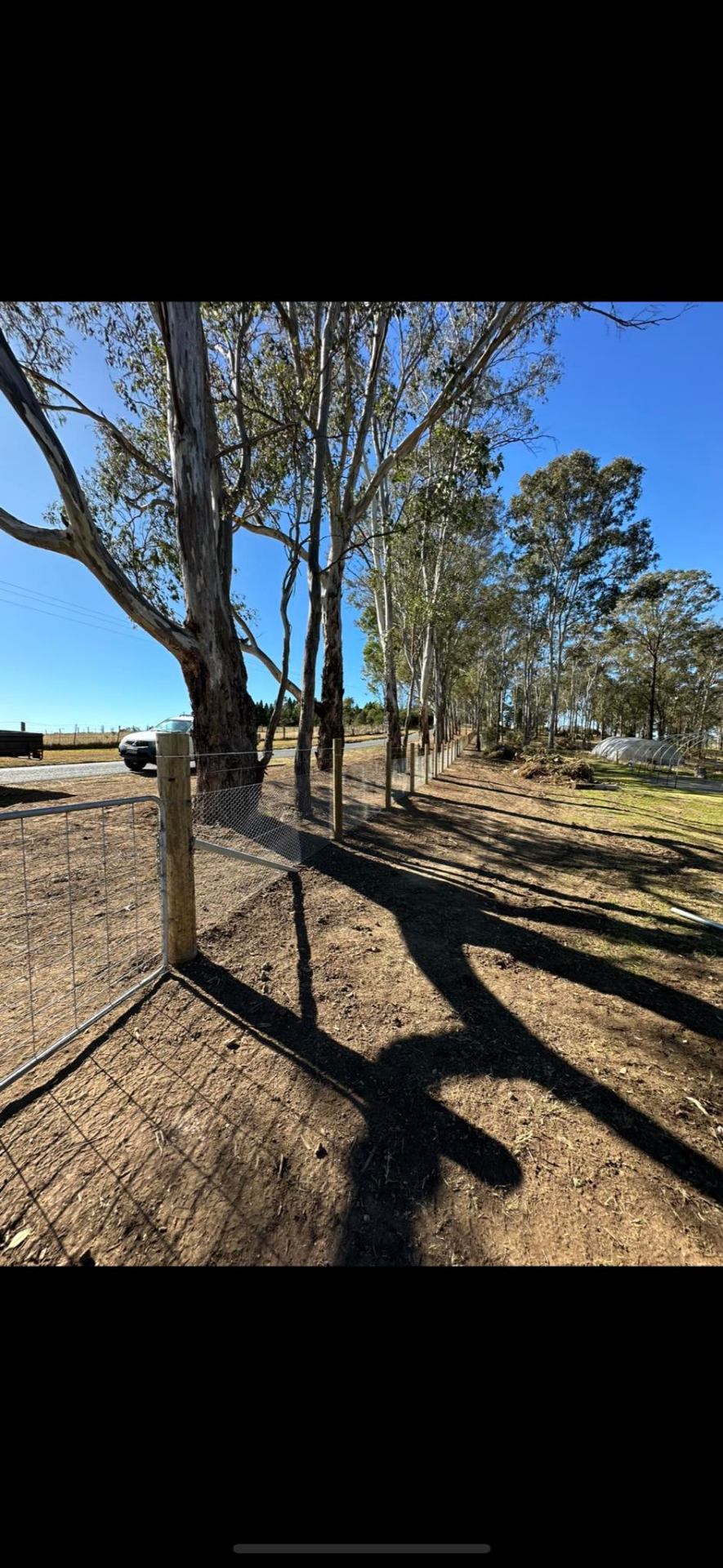 Treeline boundary fencing with timber posts