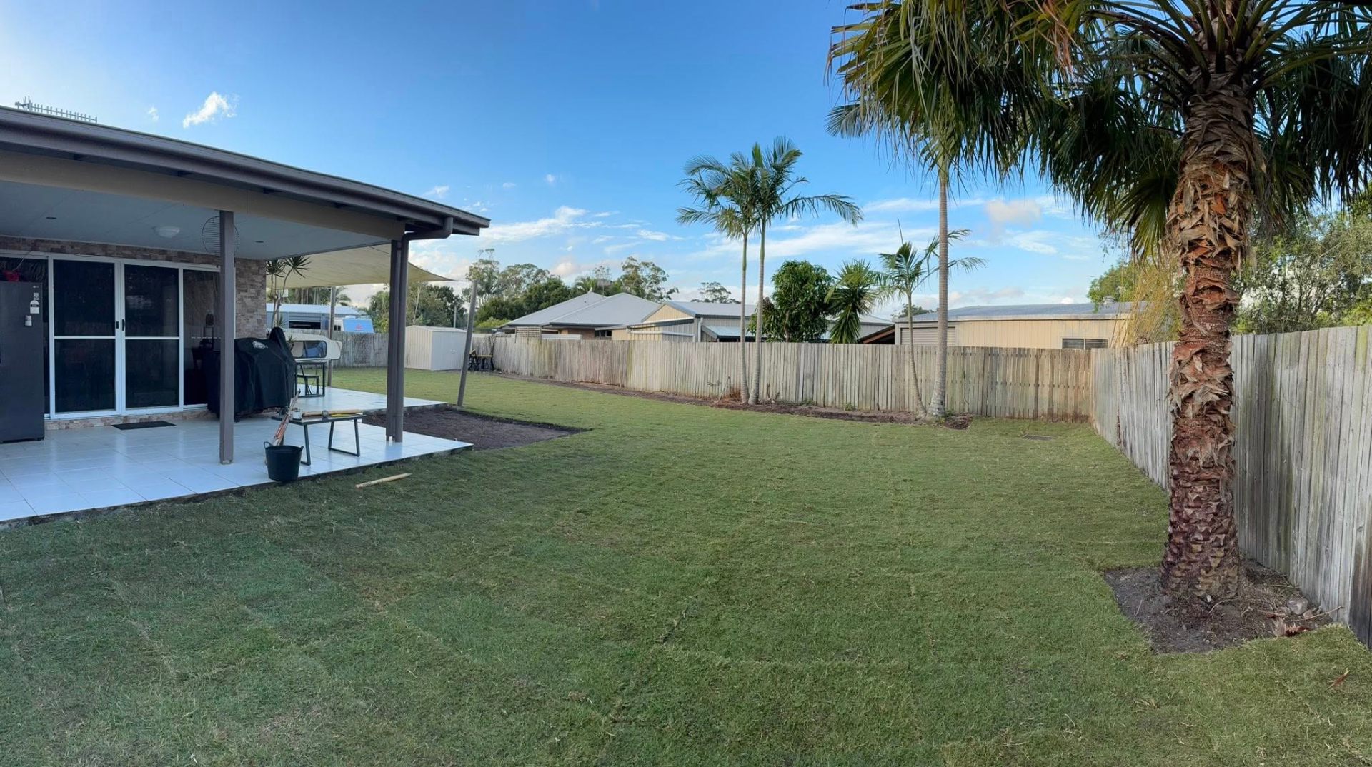 Fresh turf laid in suburban backyard