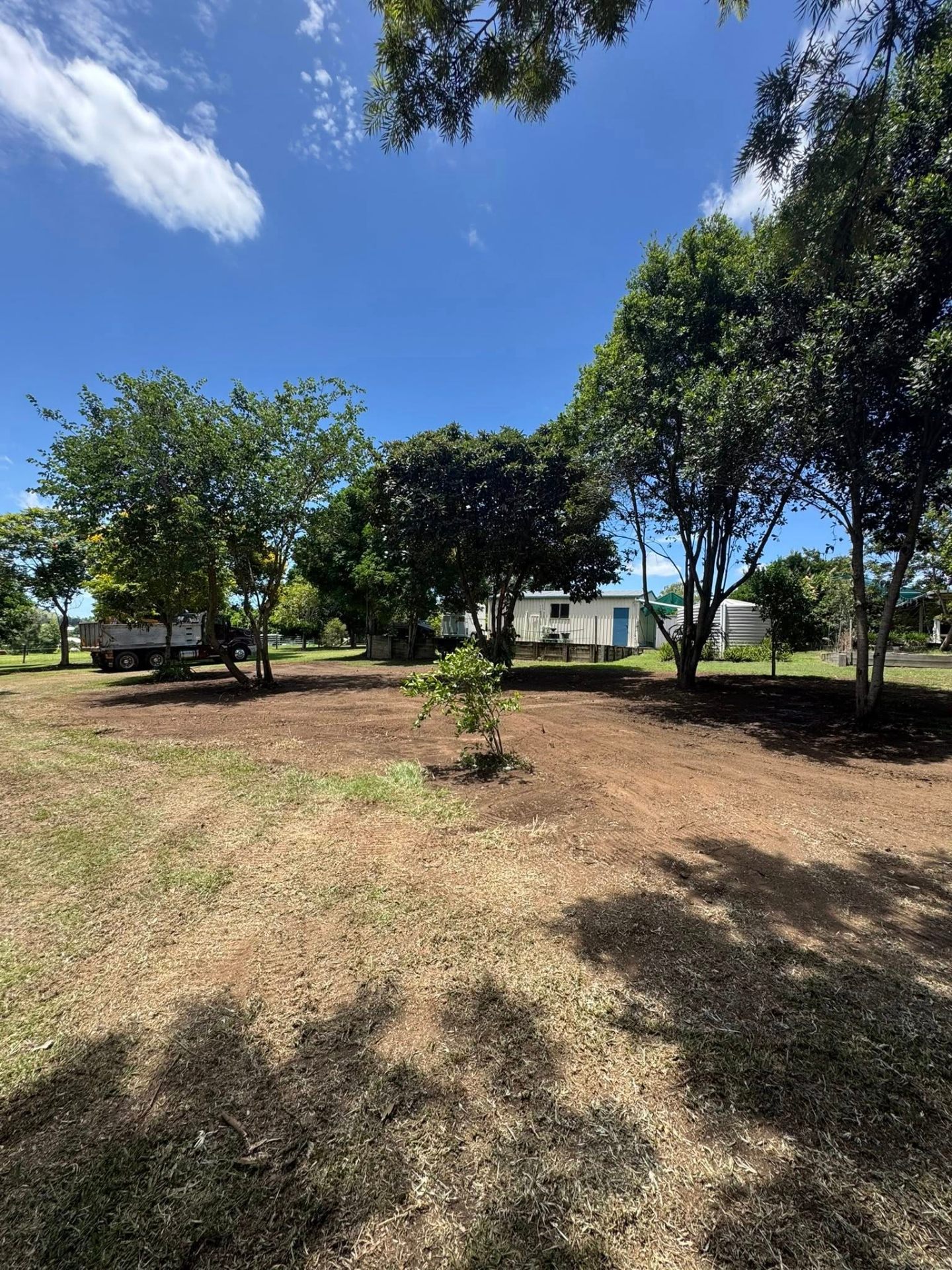 Rural yard cleanup & ground prep